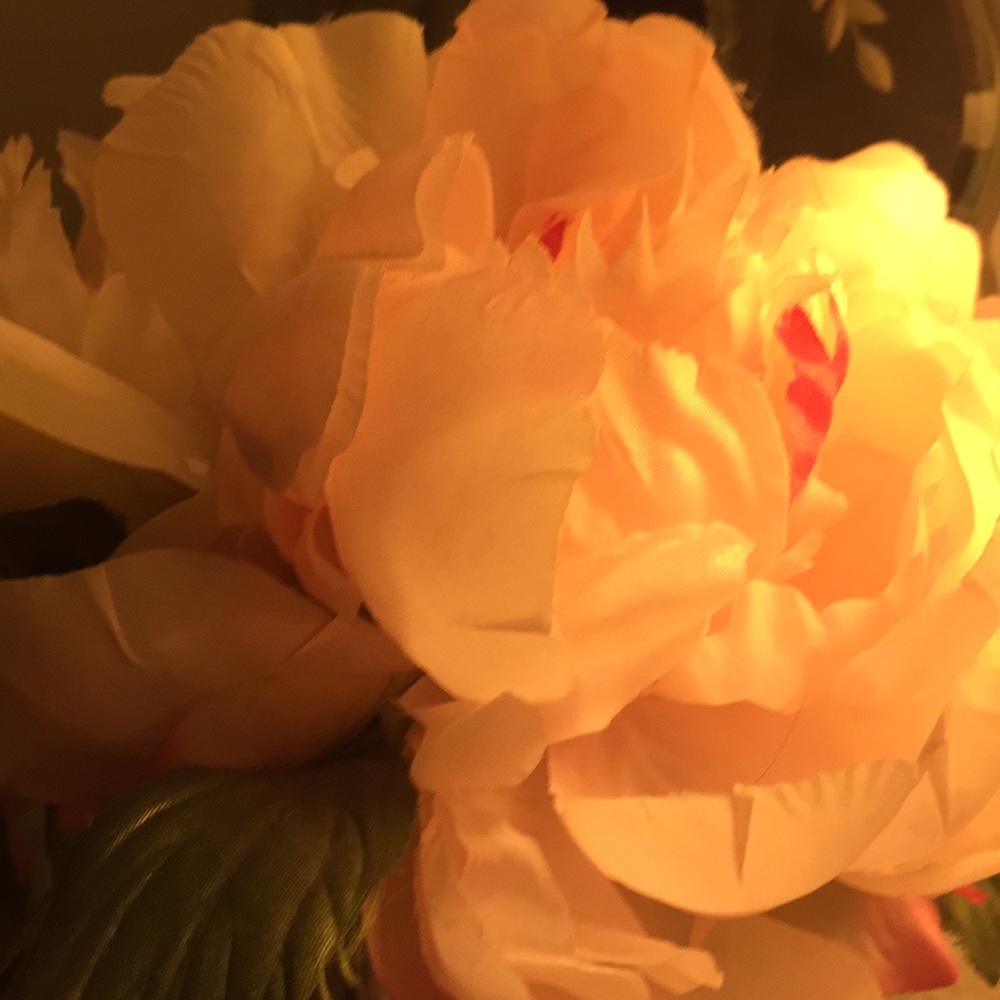 Meet your Posher, Dee